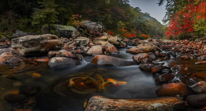 North Chickamauga Creek Gorge - Image 1