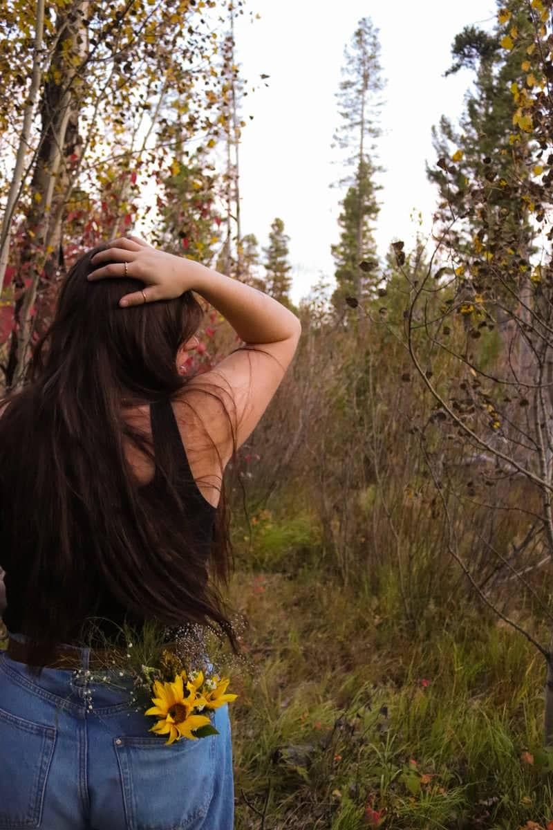 Highland Mountains Aspen Grove - Image 1