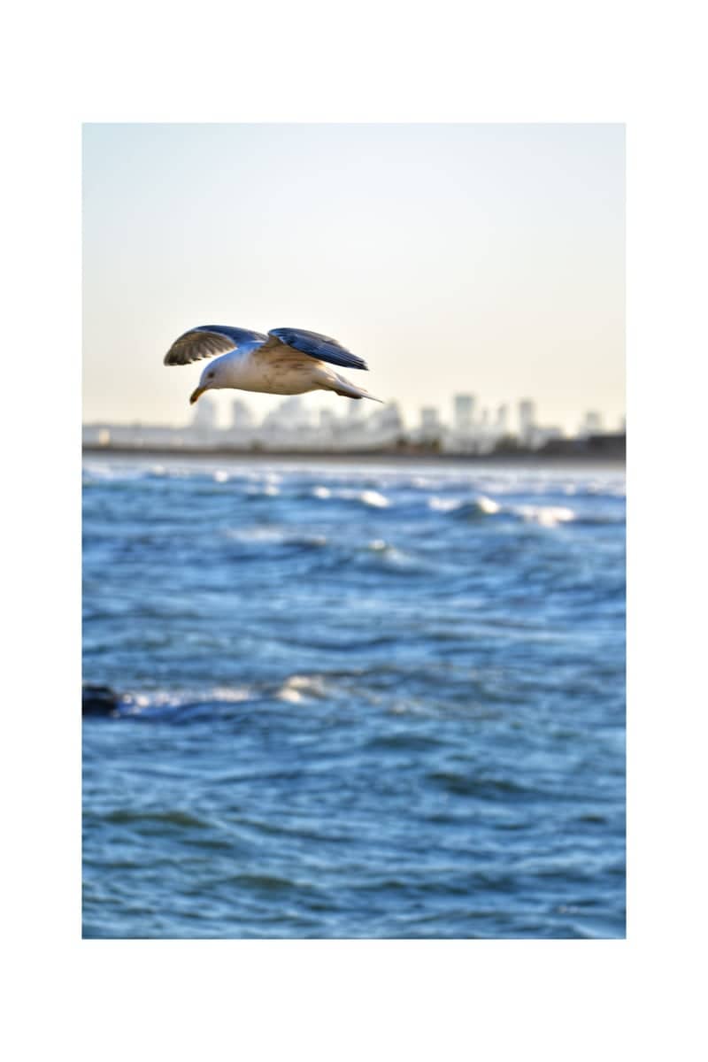 Lynn Beach - Image 1