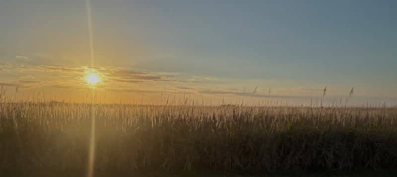 Lake Placid Grasslands - Image 1