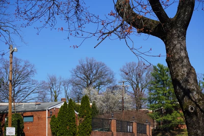 Silver Spring Suburban Neighborhood - Image 1