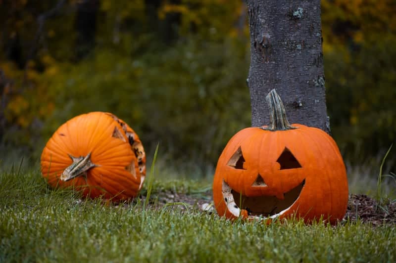 Big Rapids Autumn Display - Image 1