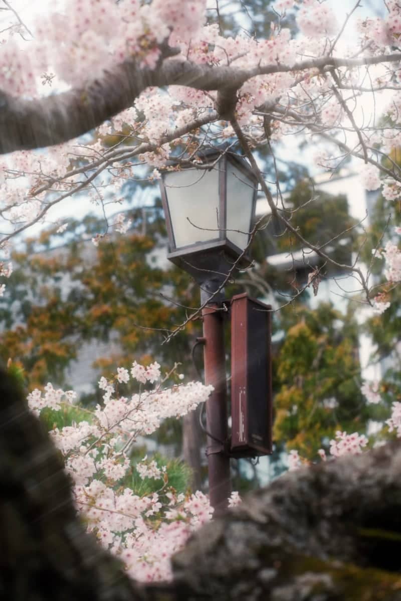 Engaku-ji Temple - Image 1