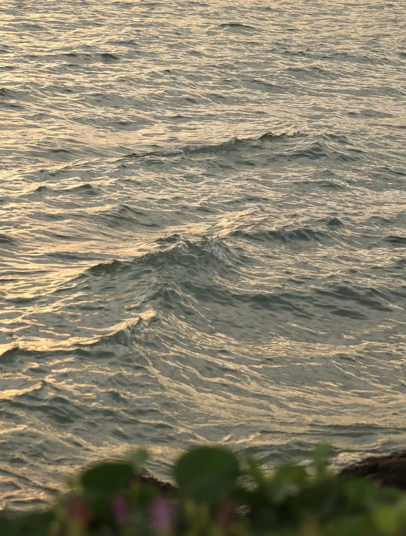 Nagashima Coastline - Image 1