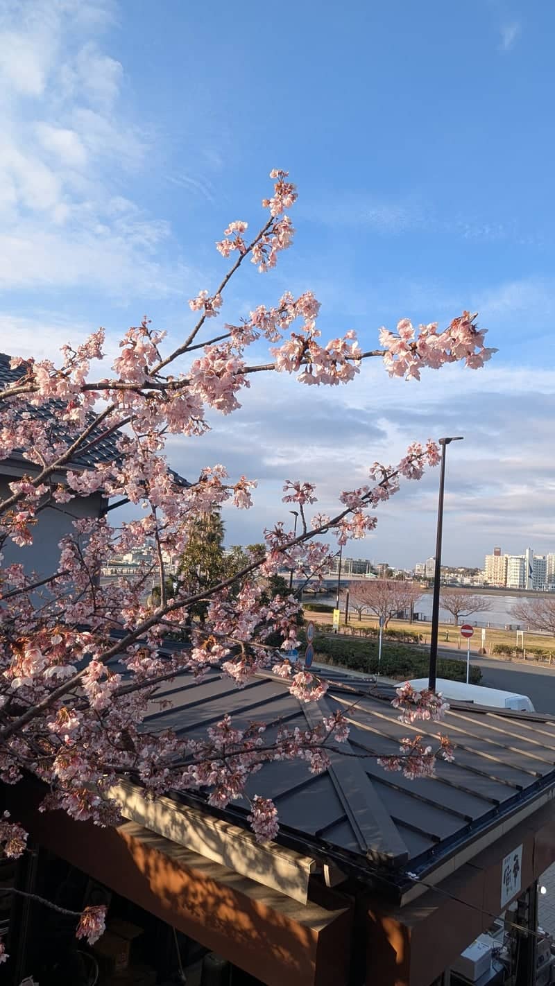 Hakone-Yumoto Riverside Sakura - Image 1