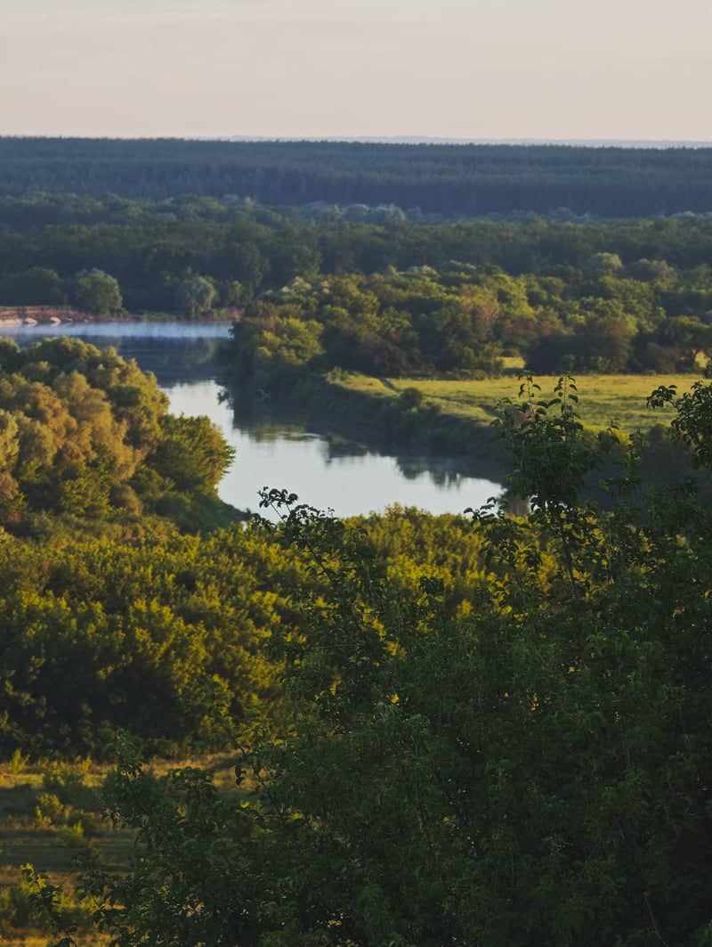 Divnogorye Nature Reserve - Image 1