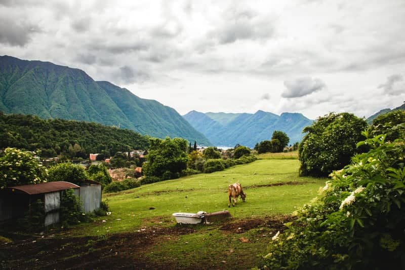 Alpine Pasture Overlooking Lake Como - Image 1