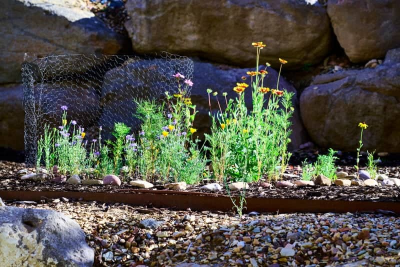 Heritage Way Wildflower Garden - Image 1
