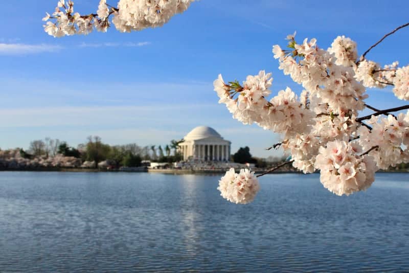 Jefferson Memorial from Tidal Basin - Image 1