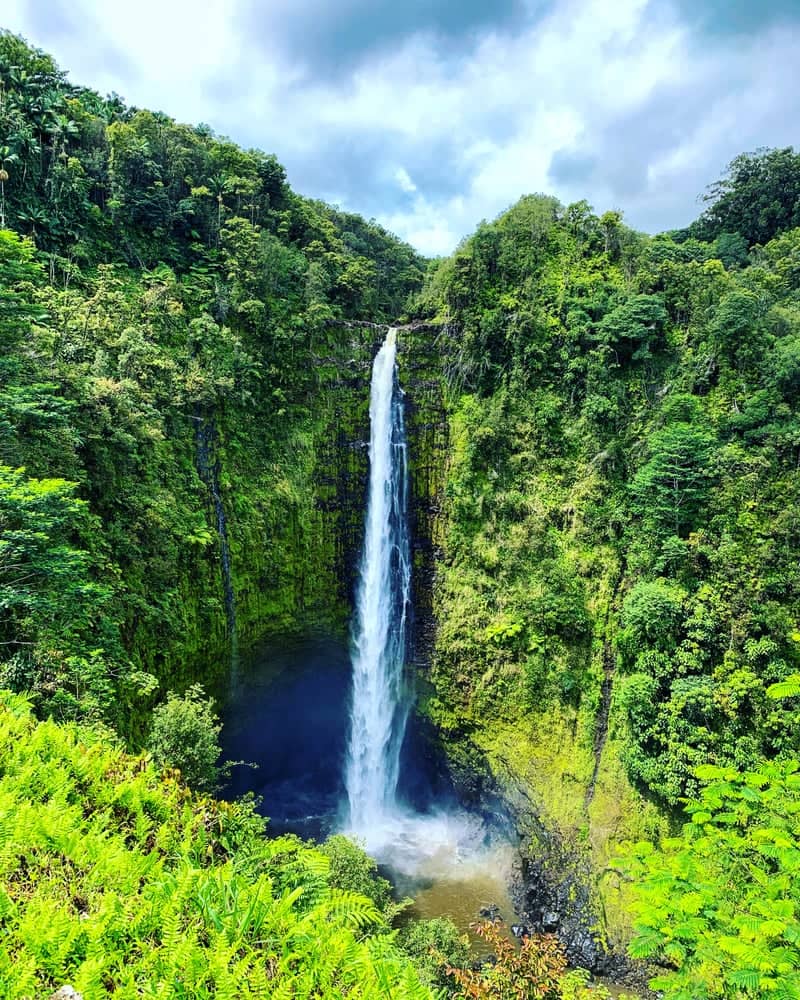 Akaka Falls - Image 1
