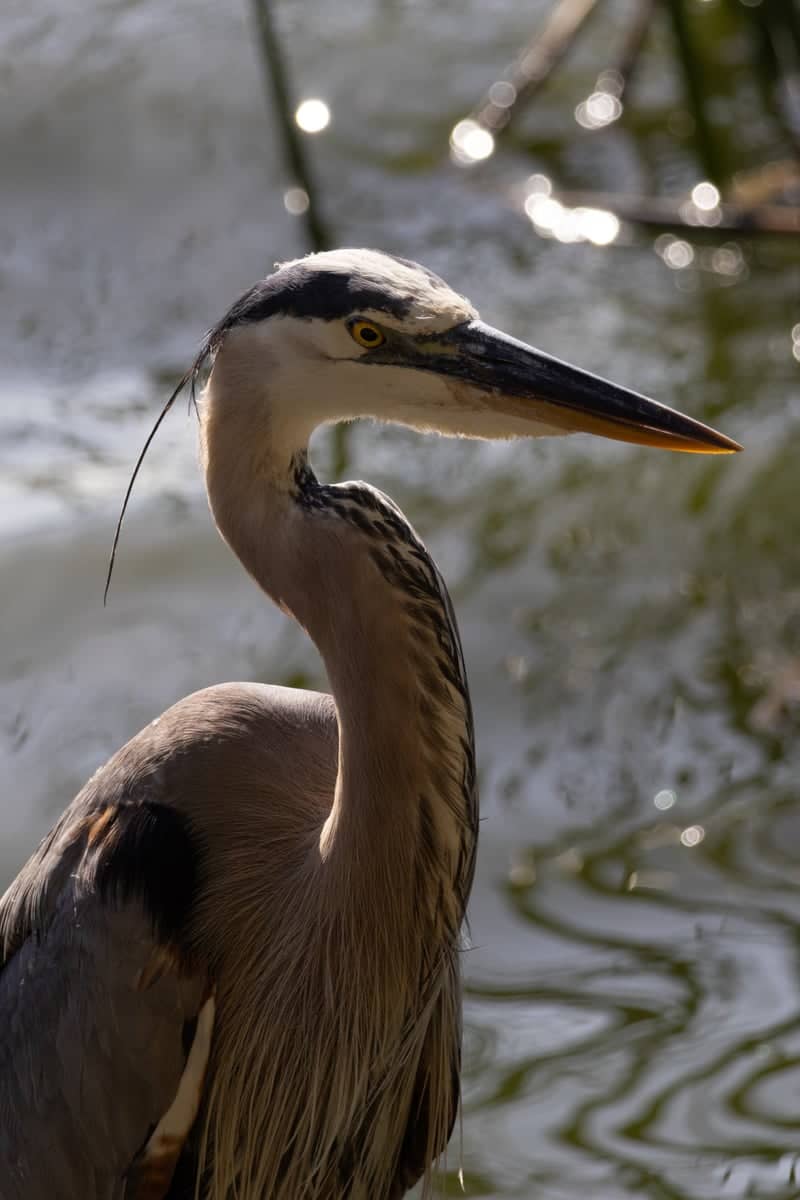 Circle B Bar Reserve - Image 1