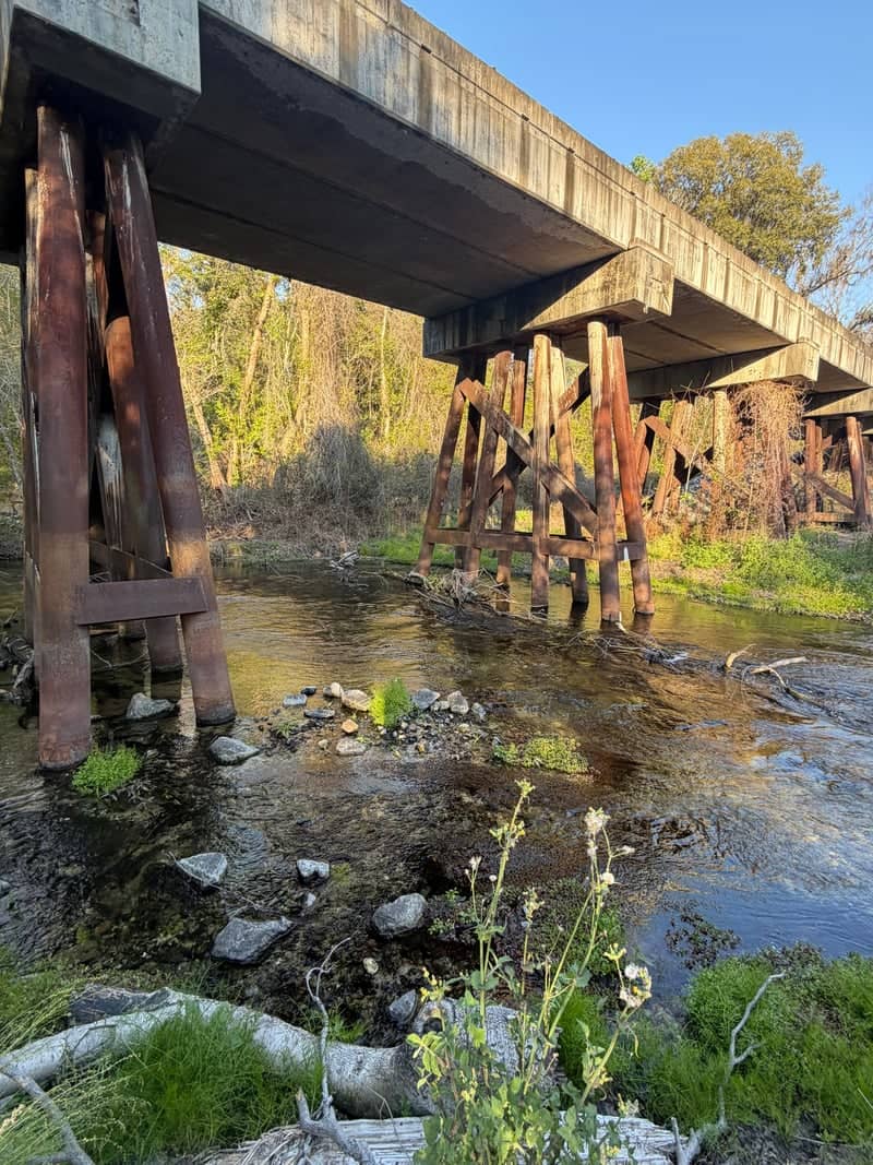 Rustic Trestle Bridge at Suwannee River - Image 1