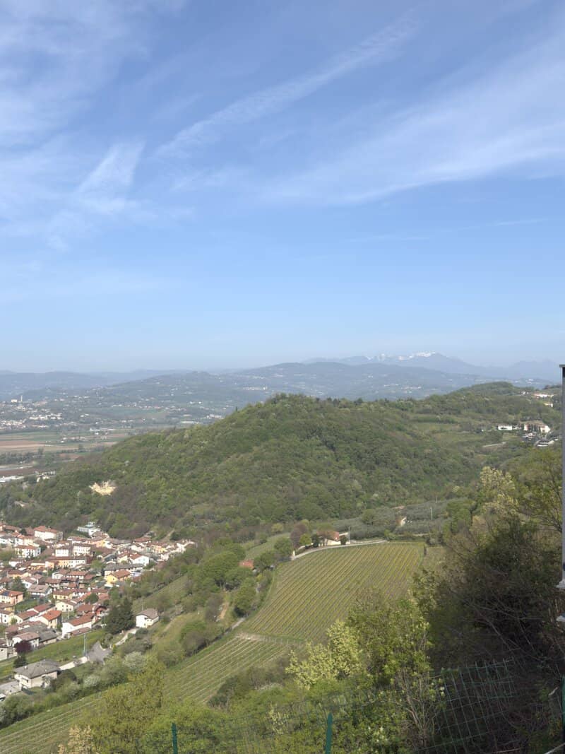 Colli Berici Vineyard Overlook - Image 1