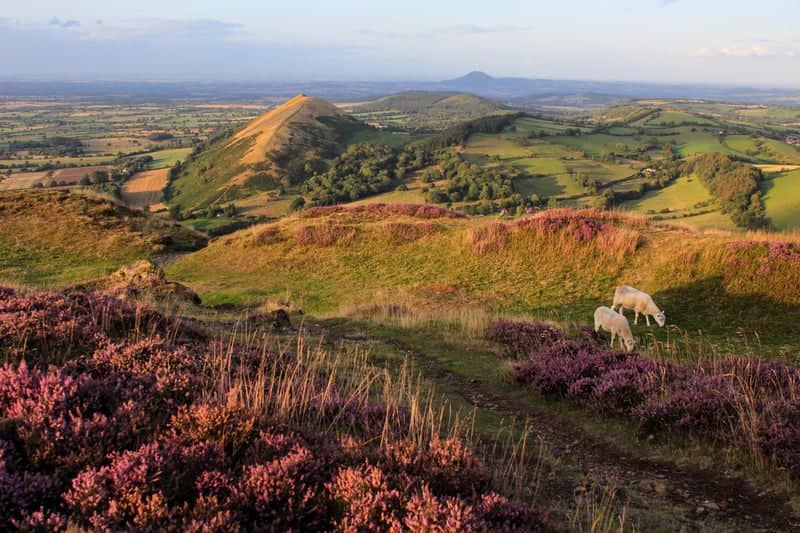 Long Mynd Overlook - Image 1