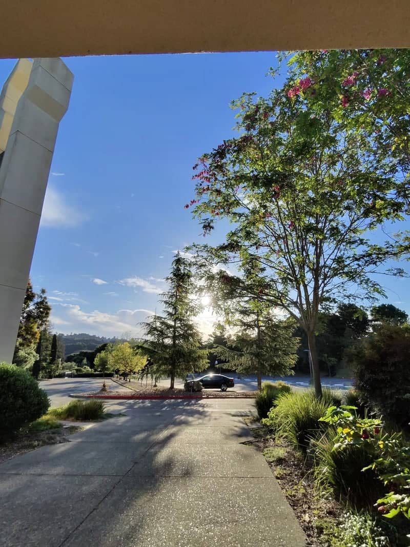 Cathedral of the Ascension Grounds - Image 1