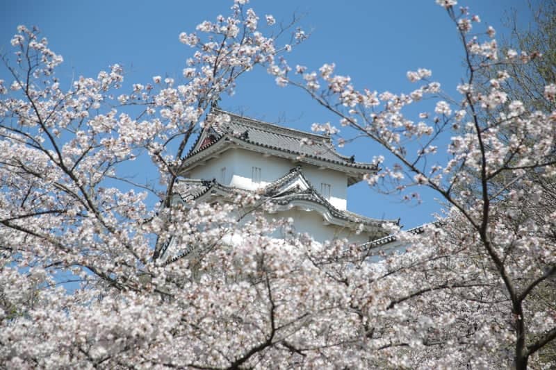 Akashi Castle Park - Image 1