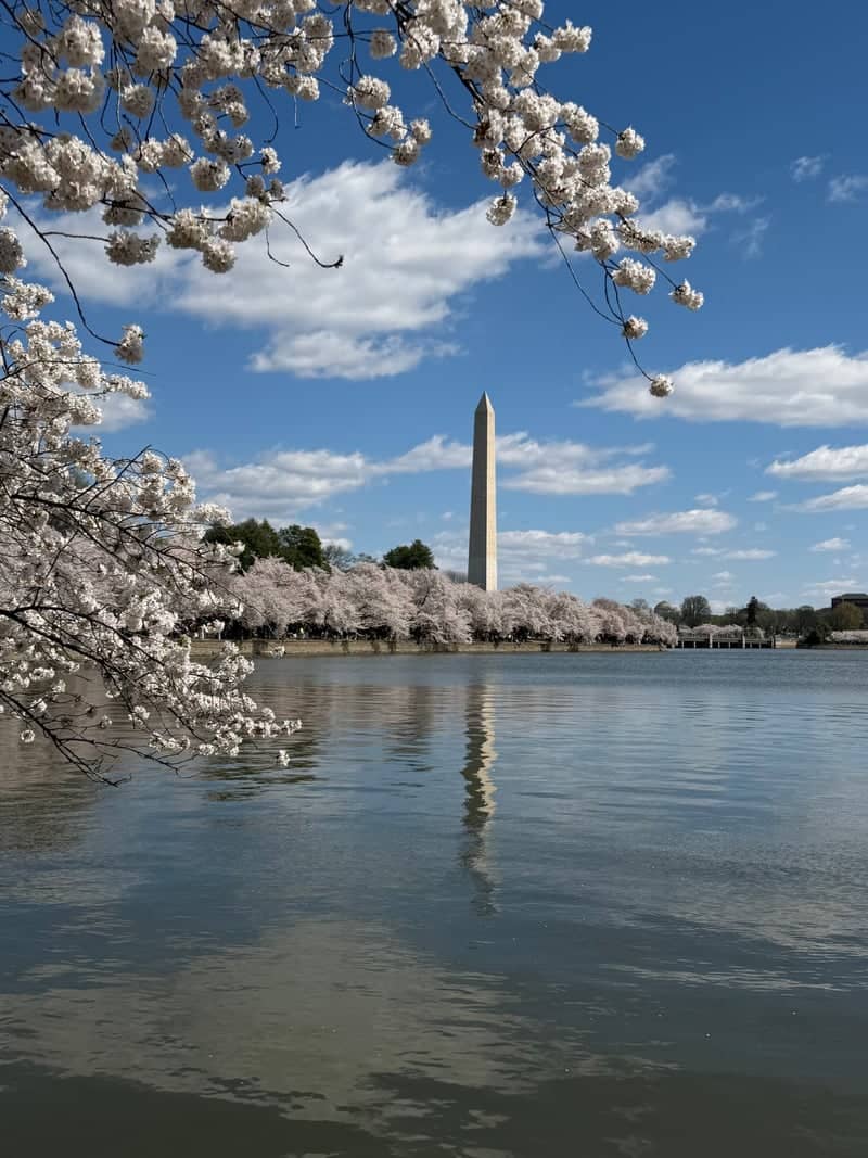 Washington Monument from the Tidal Basin - Image 1