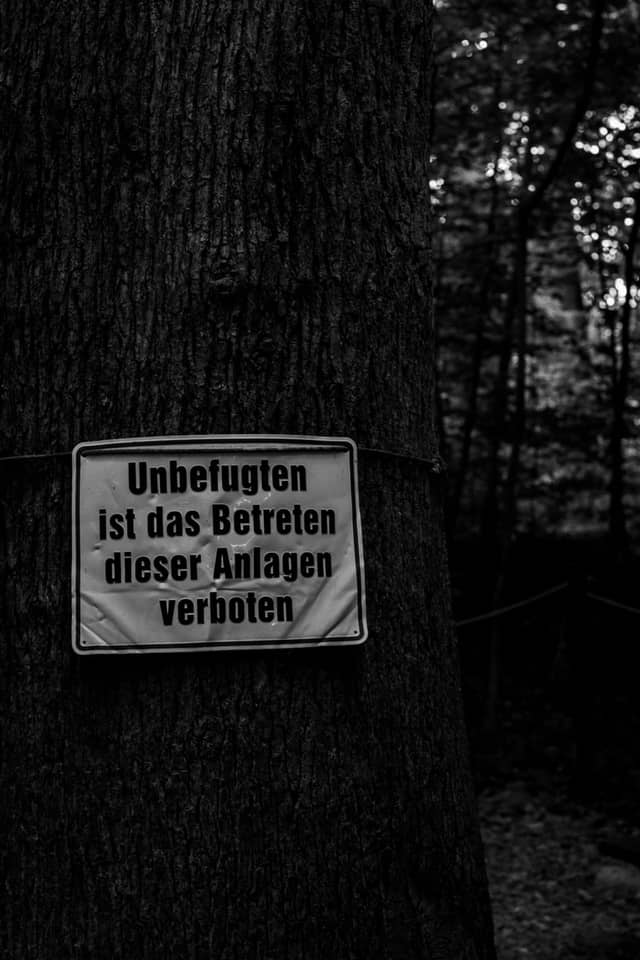 Neroberg Forest Trails - Image 1