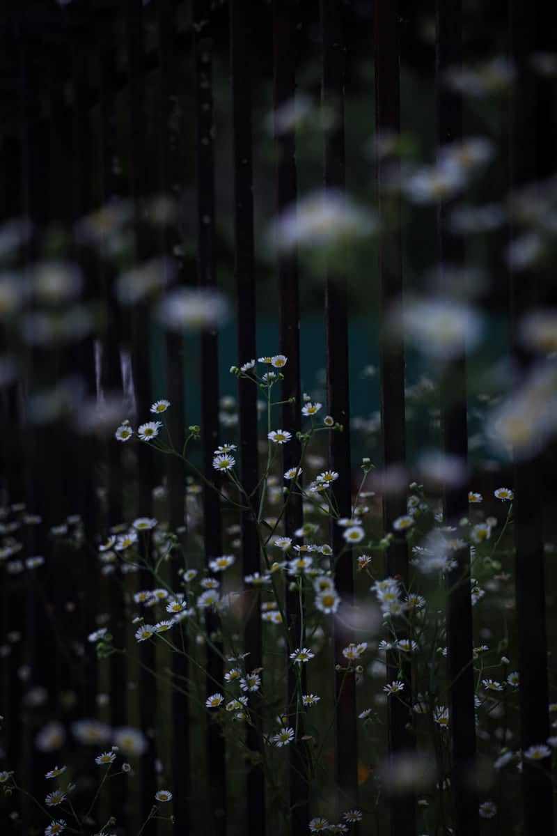 East Avenue Floral Fence - Image 1