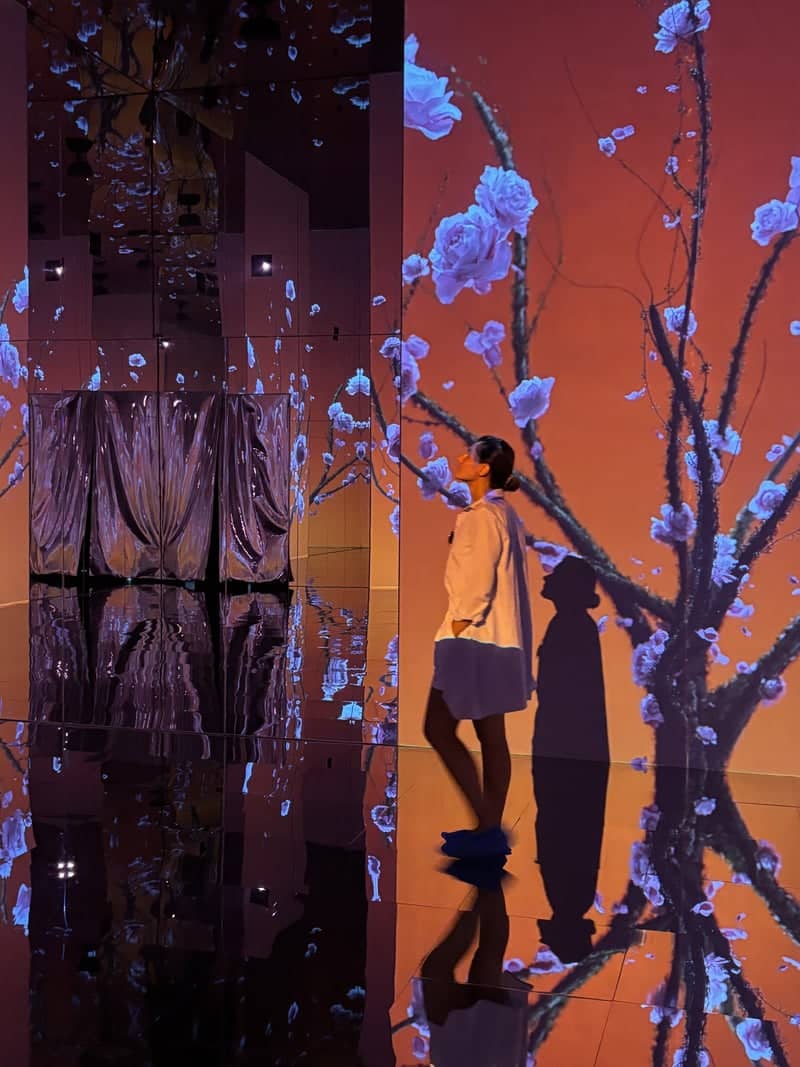 Immersive Digital Art Gallery - Image 1