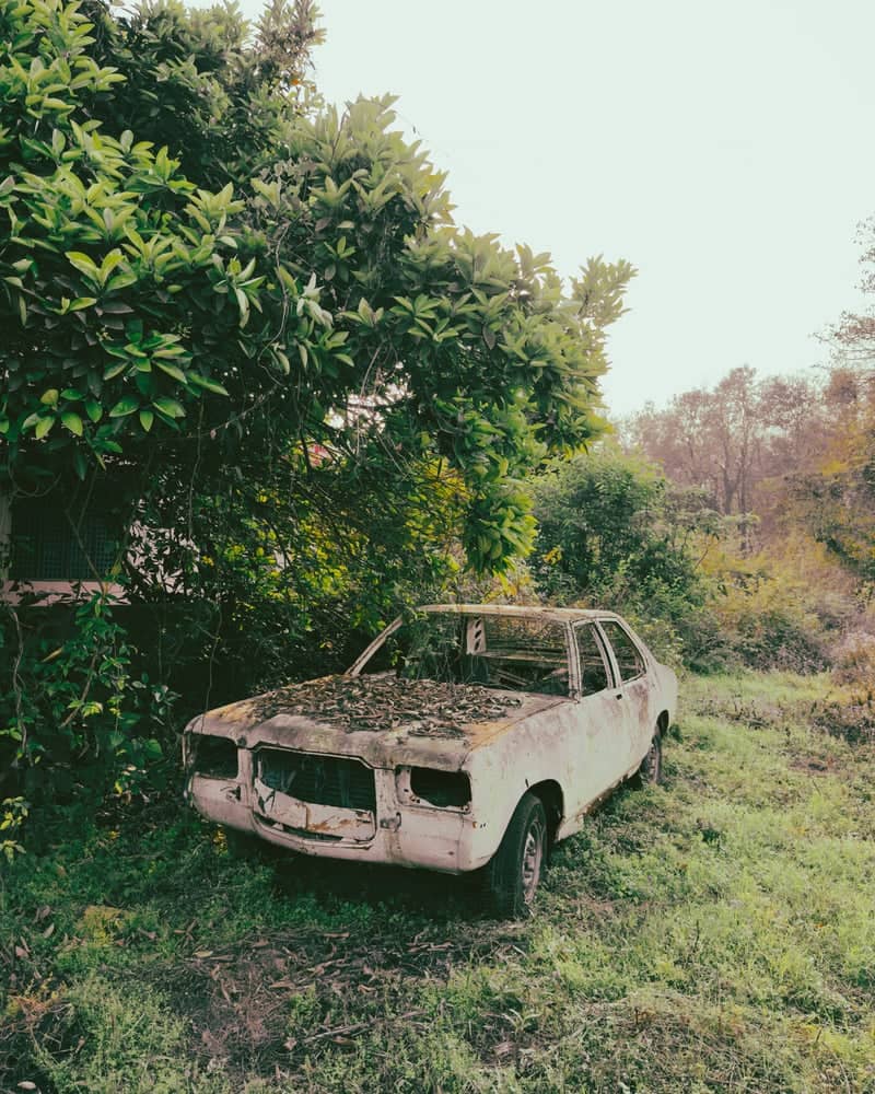 Abandoned Vintage Car of Rishikesh - Image 1