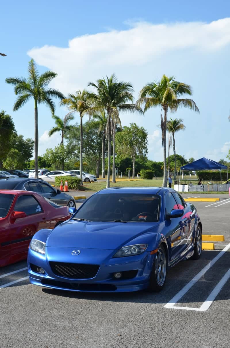 Key Largo Tropical Car Meet Spot - Image 1