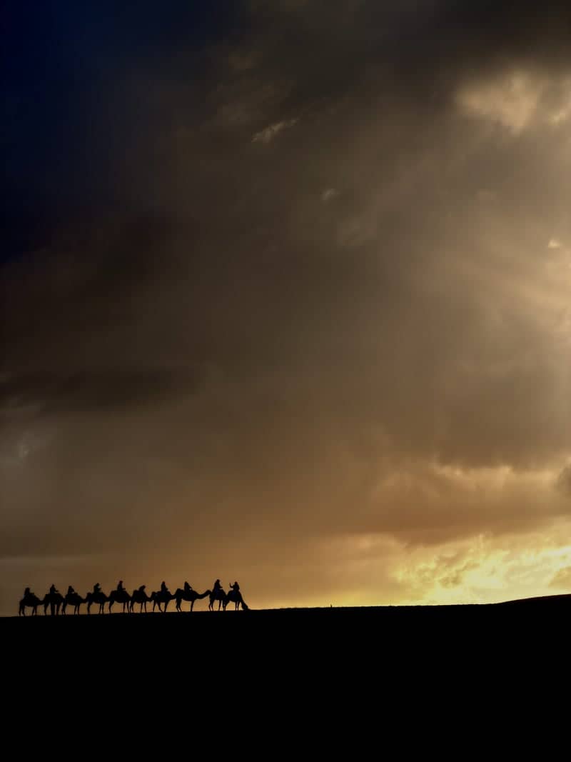 Desert Camel Caravan Silhouette - Image 1