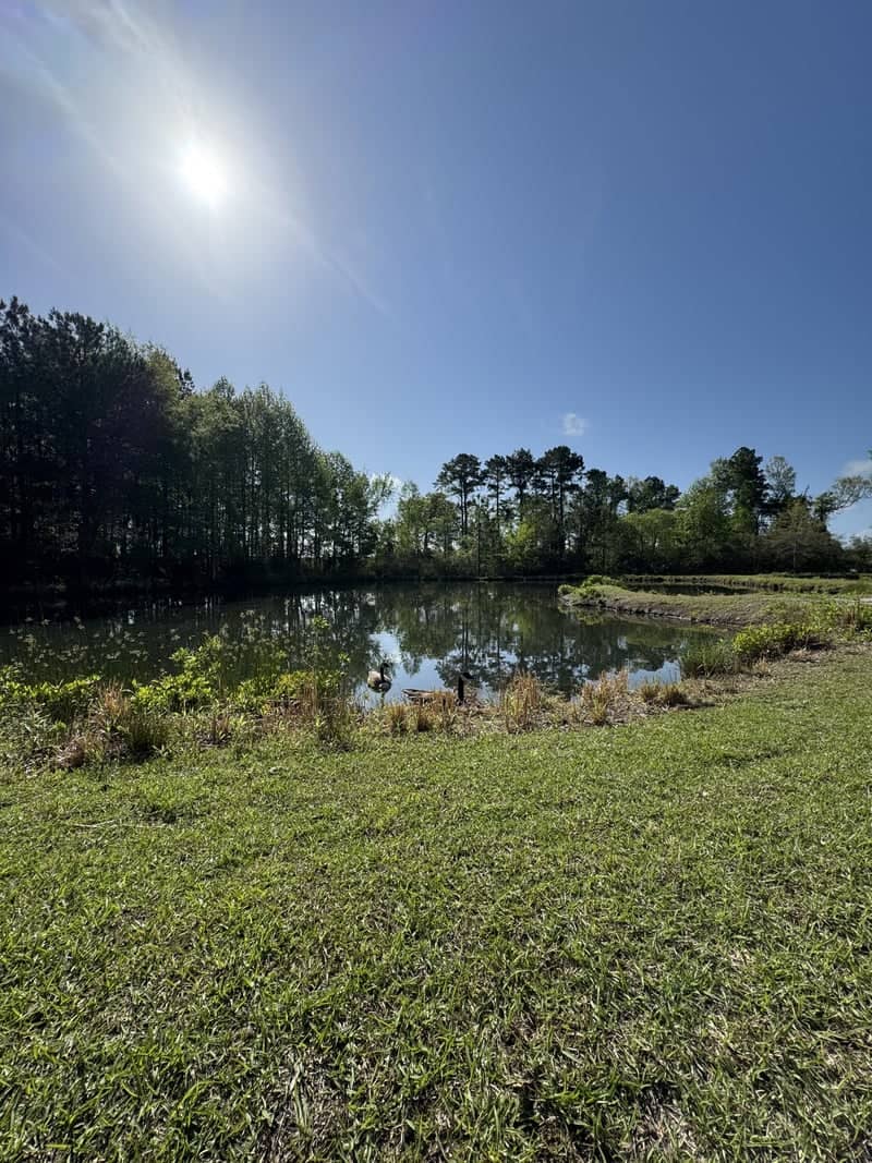 Medical Park Pond - Image 1