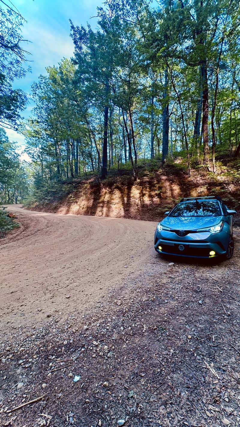 Blue Ridge Forest Road - Image 1