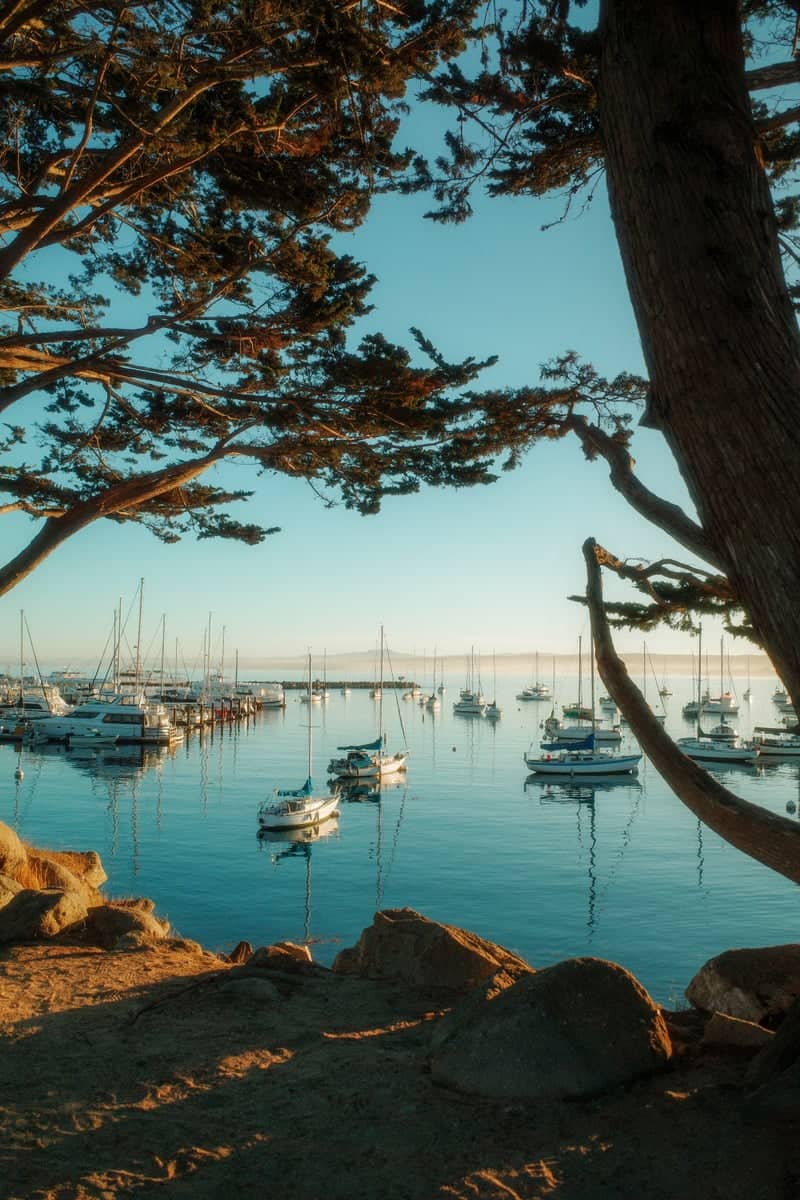 Monterey Harbor Overlook - Image 1