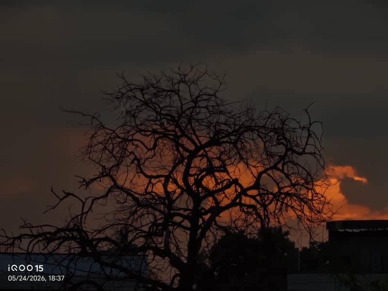 Kohir Sunset Silhouette - Image 1