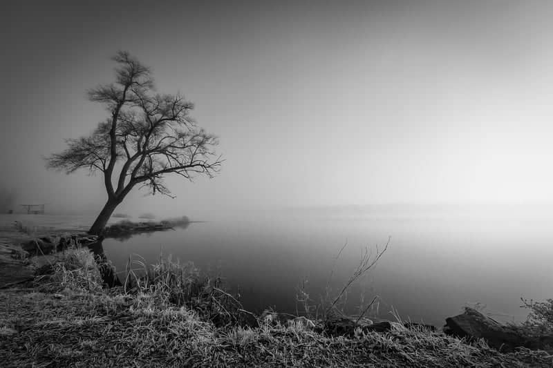 Hillsdale Lake Shoreline - Image 1