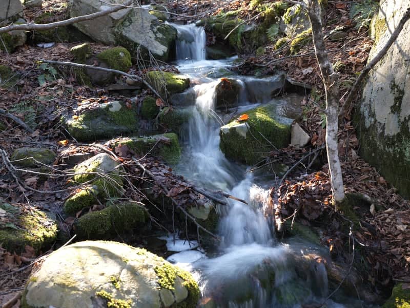 Promised Land State Park Stream - Image 1