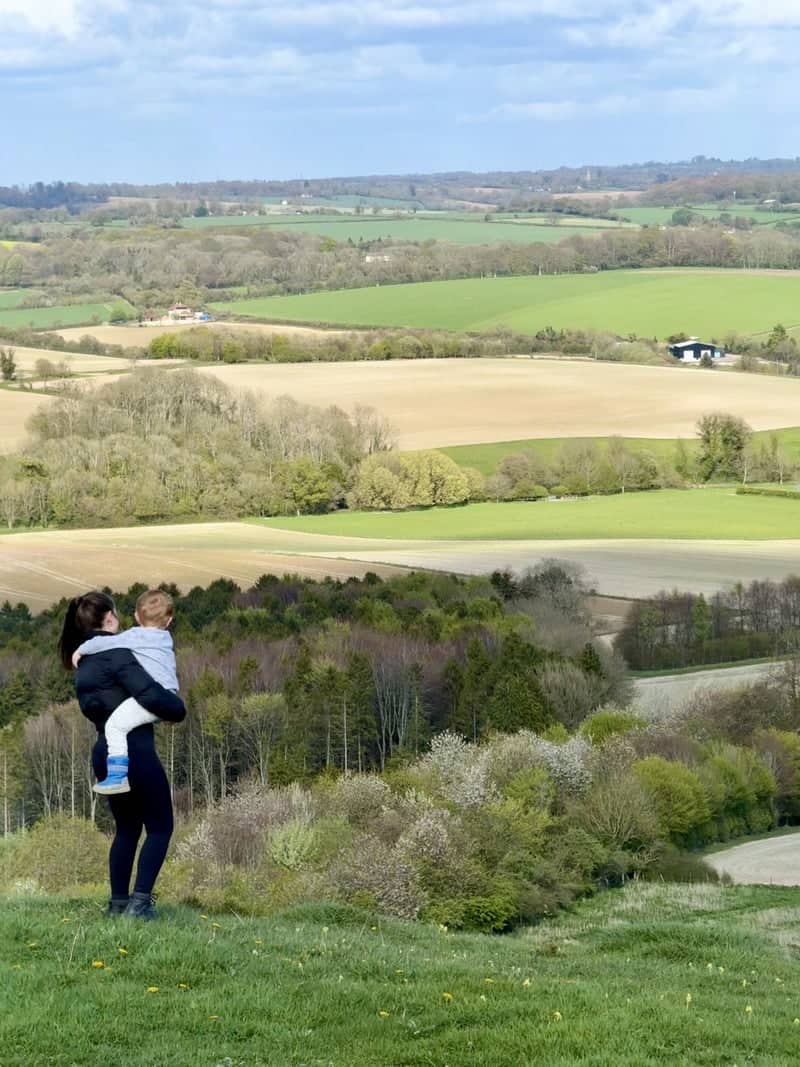 South Downs Overlook near West Meon - Image 1