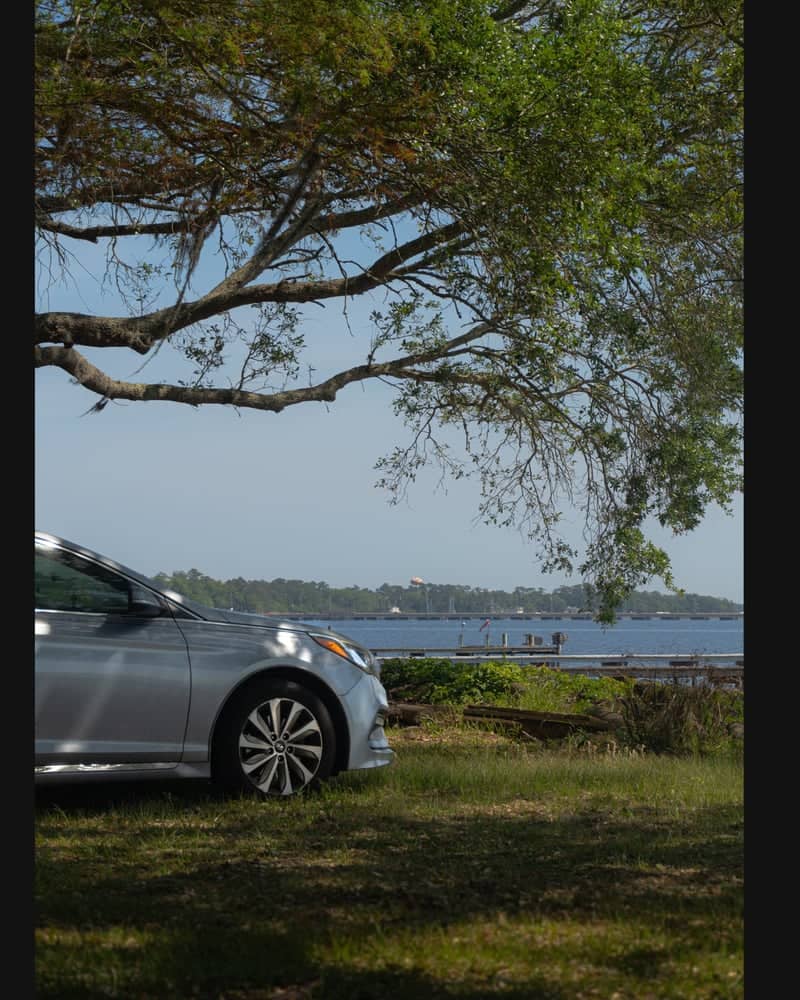 St. Johns Riverfront at Orange Park - Image 1