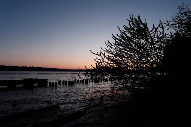 Gene Coulon Memorial Beach Park - Image 1