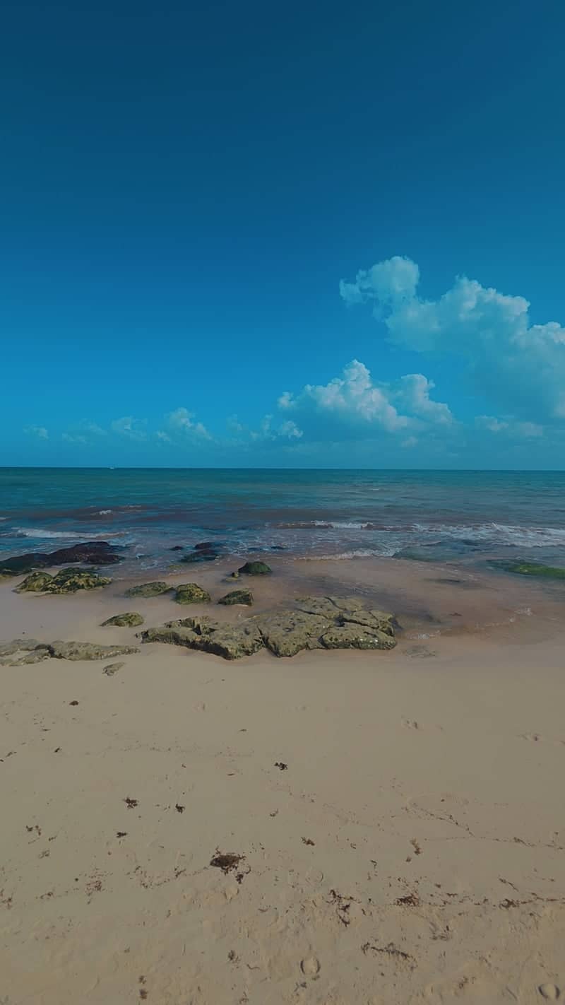 Tropical Beach Shoreline - Image 1