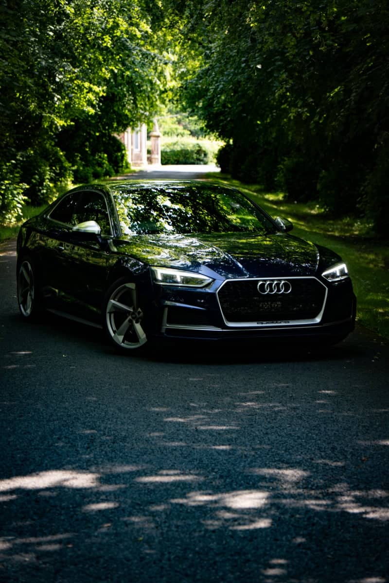 Wooded Driveway in Lesmahagow - Image 1
