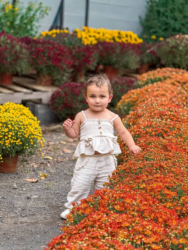 Shady Brook Farm - Image 1