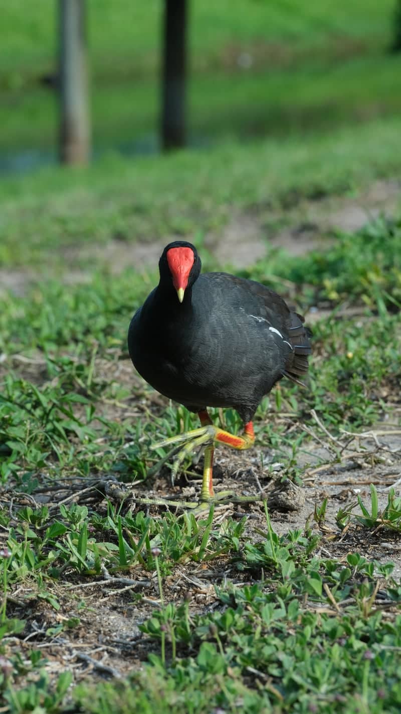 Clam Bayou Nature Area - Image 1