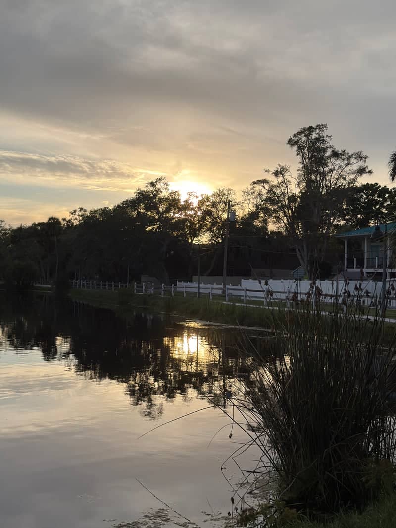 Gulfport Neighborhood Pond Sunset - Image 1