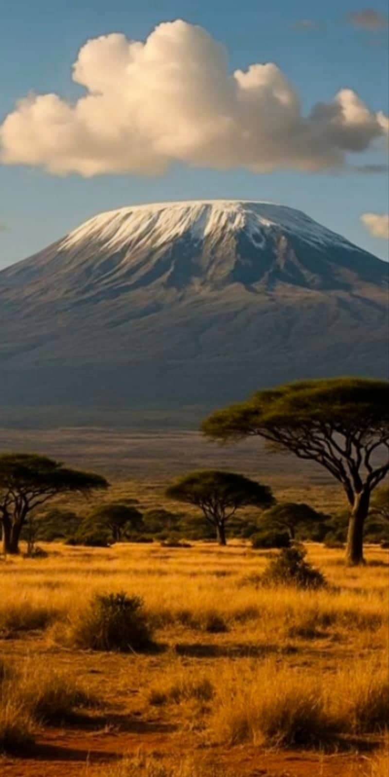 Mount Kilimanjaro from Amboseli National Park - Image 1