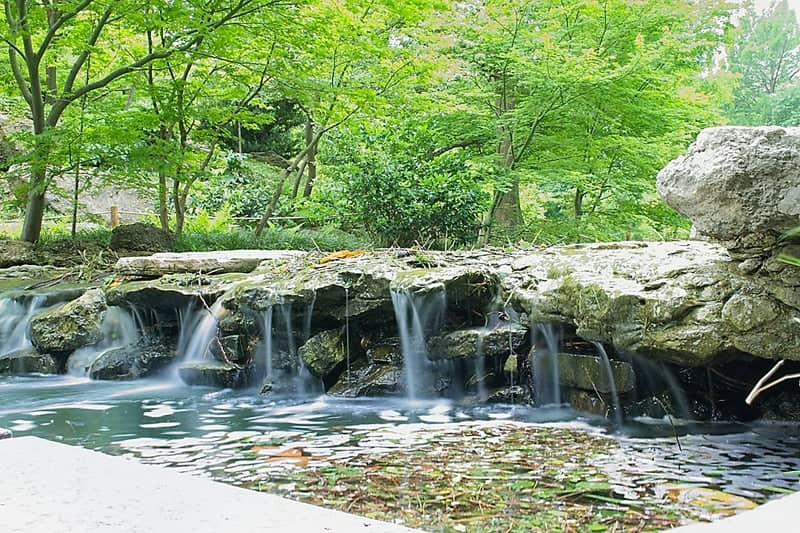 Fort Worth Botanic Garden - Japanese Garden - Image 1