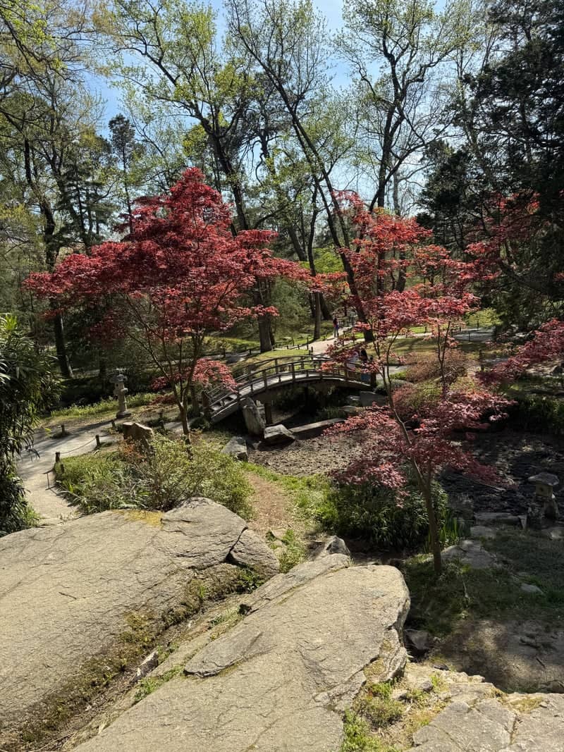 Maymont Japanese Garden - Image 1