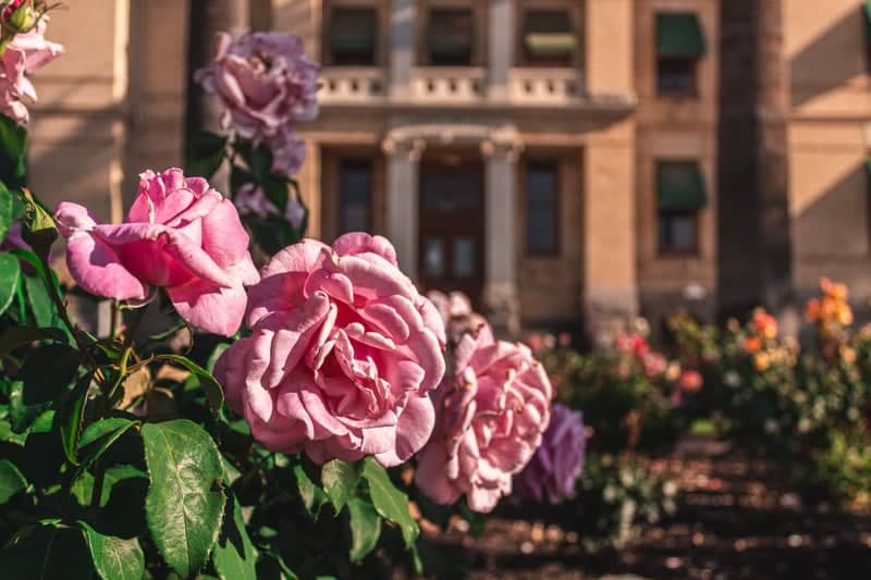 Kings County Courthouse Square - Image 1