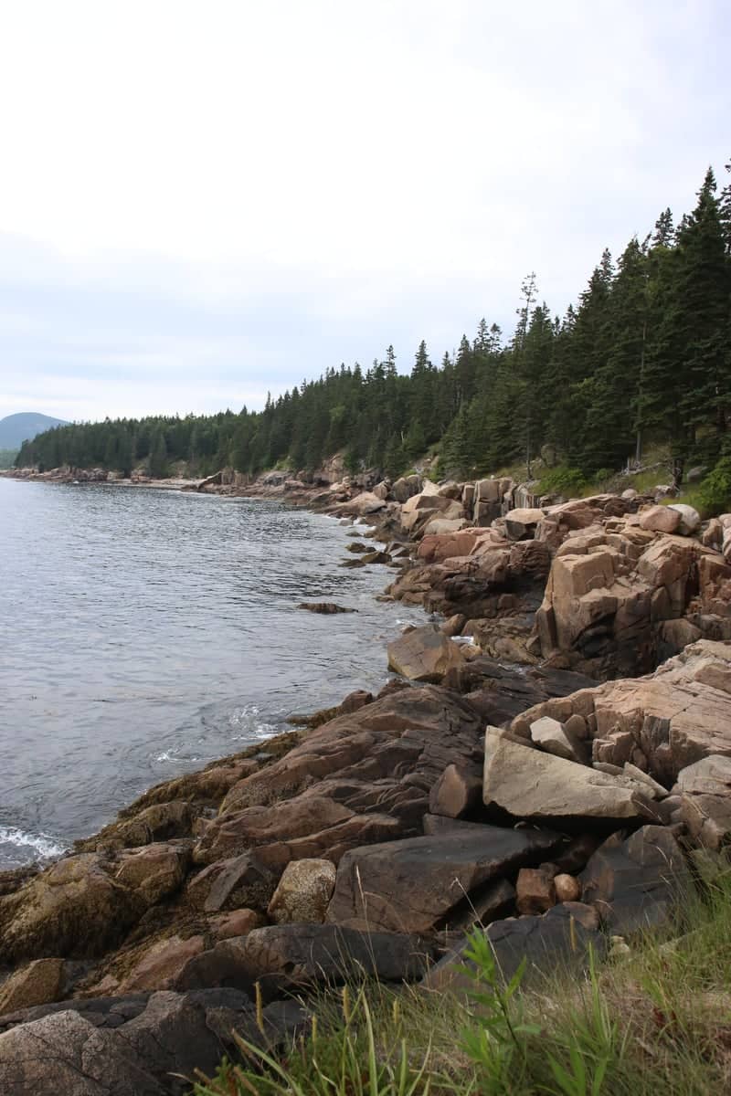 Acadia Rocky Coastline - Image 1