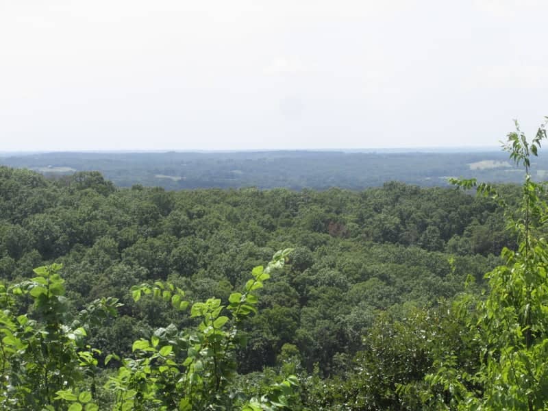 Vichy Forest Overlook - Image 1