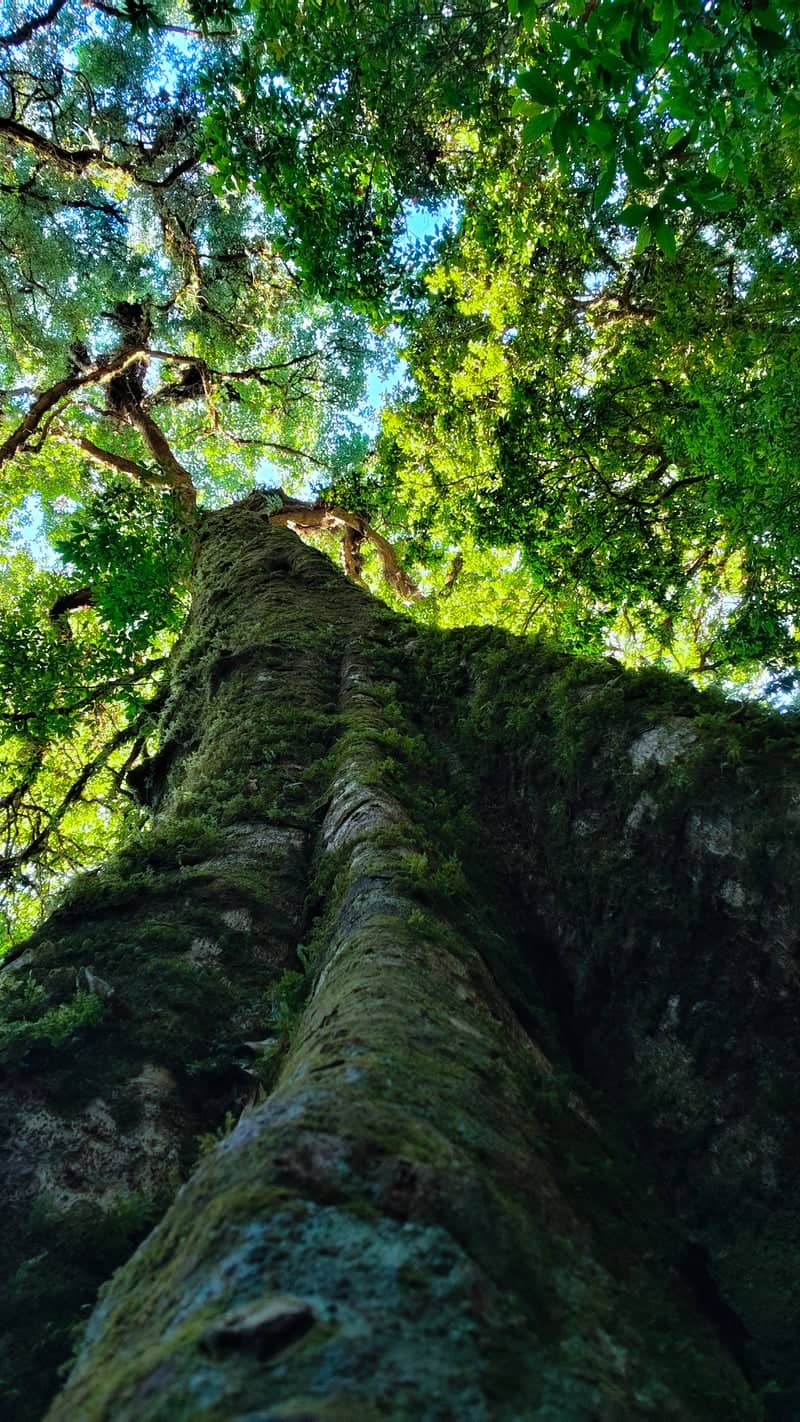 Ang Ka Nature Trail - Image 1