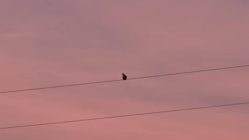 Amarillo Sunset Sky - Image 1