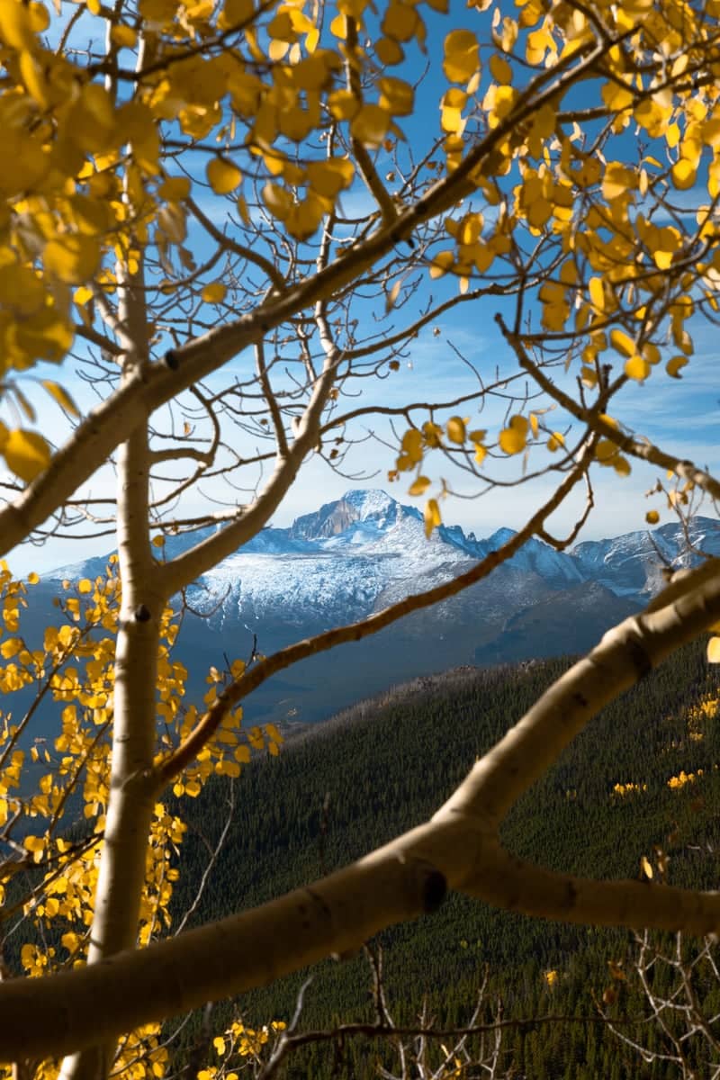 Longs Peak Overlook, Rocky Mountain National Park - Image 1